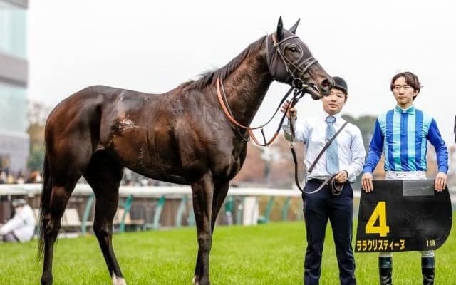 【ヴィクトリアM】絶好調の菅原明良騎手 12回目のJRA・GI挑戦で初制覇なるか