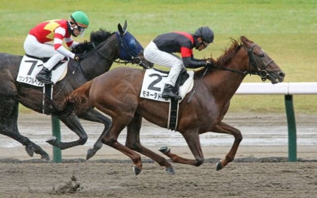 【新潟7R】モネータドーロが人気に応える