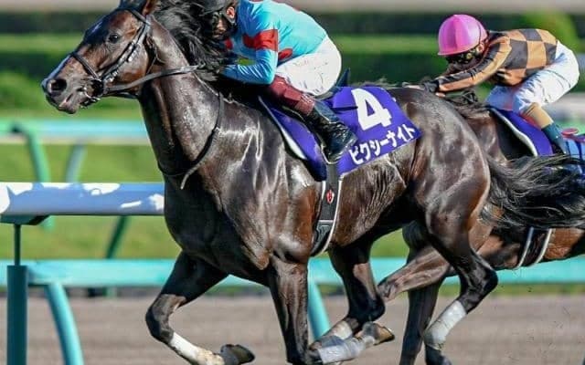 京王杯SCは3連覇中の高松宮記念組を狙え 今年は精鋭4頭がエントリー