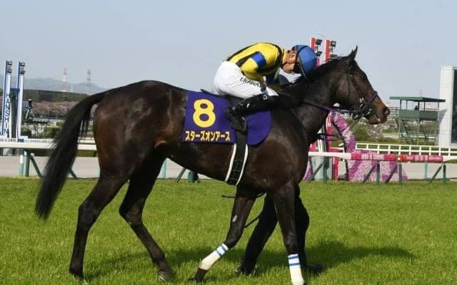 【ヴィクトリアM予想】穴党のAIも評価せざるを得ない！ 出走各馬の明暗を分けたポイントとは？