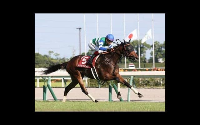 豪華な顔ぶれのヴィクトリアマイルで穴を開けるのは？ 期待は「東京・芝1600ｍ戦」向きな血統を持つミッキーアイル産駒２頭
