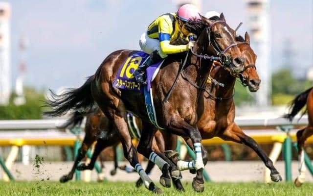 【ヴィクトリアマイル出走馬・騎手確定】スターズオンアース＆ルメール騎手、ソダシ＆レーン騎手など16頭