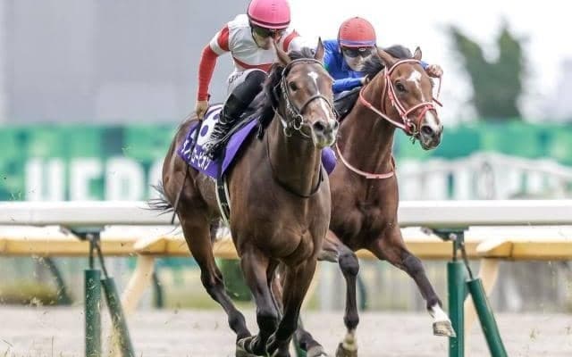 【京王杯スプリングC出走馬・騎手確定】ダノンスコーピオン＆川田将雅騎手、ピクシーナイト＆戸崎圭太騎手など18頭