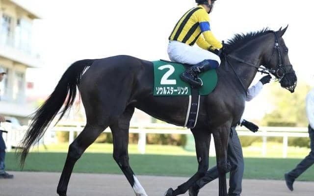 【京都ハイジャンプ出走馬・騎手確定】ダイシンクローバー＆森一馬騎手、テリオスルイ＆中村将之騎手など11頭