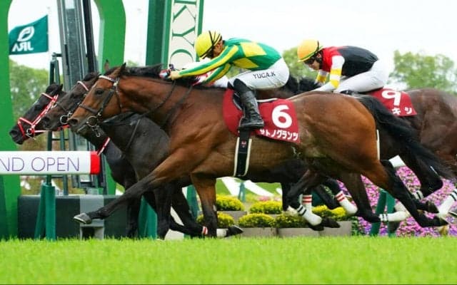 【京都新聞杯】3連勝でサトノグランツが重賞初制覇！