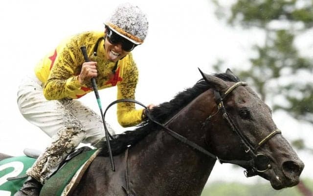 【新潟大賞典】菅原明「終始手応えは良かった」カラテが重賞3勝目