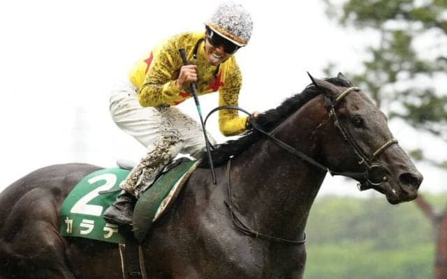 【新潟大賞典】59キロ、カラテが力強く抜け出す