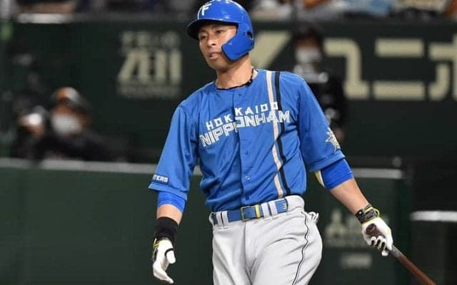 「新しいプレーヤーの活躍がすごい」新戦力台頭の日本ハムを球団OBも絶賛！「５月攻勢の台風の目」