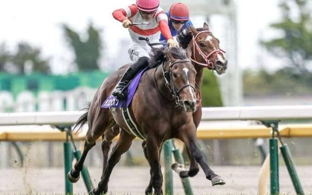 京王杯SCでGI馬3頭が激突 それぞれ復活へのきっかけとなるか