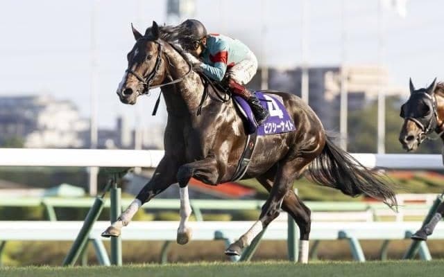今こそ“復活V”飾るとき 3歳でスプリント王に輝いた実力馬が京王杯SCに