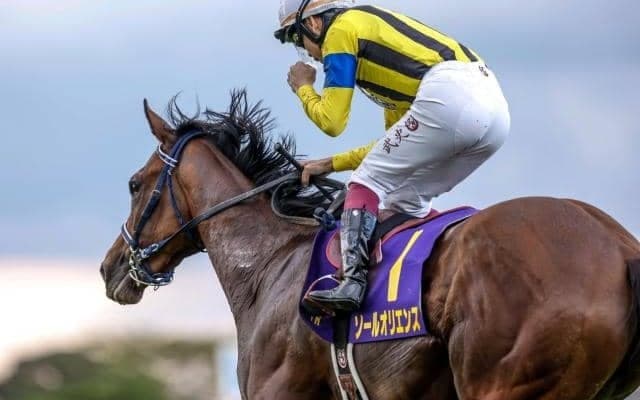 五月病と日米ダービー制覇の夢/島田明宏