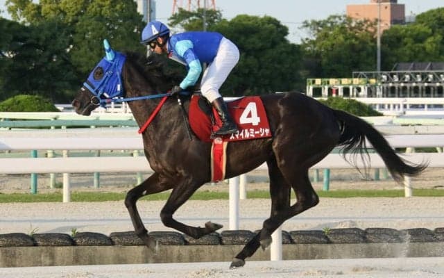 【園田・のじぎく賞】スマイルミーシャが断然人気に応える…5馬身差圧勝