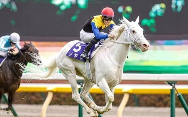 【ヴィクトリアマイル枠順確定】スターズオンアースは1枠2番、ソダシは大外8枠16番