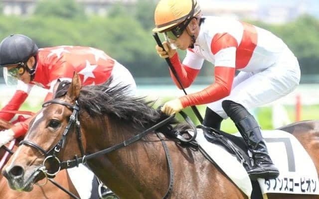 【京王杯SC枠順確定】ダノンスコーピオンは1枠1番、ピクシーナイトは5枠9番