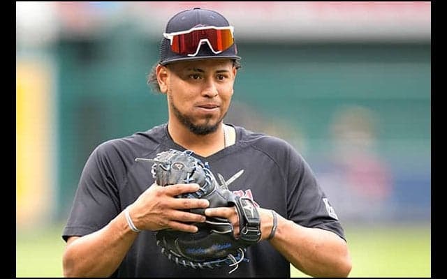 【MLB】“捕手不足”エ軍がWBC戦士を獲得　相次ぐ負傷…緊急補強は「理にかなっている」