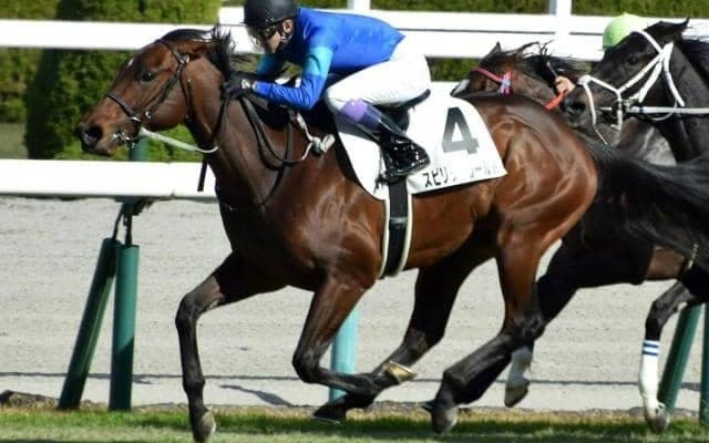 【土曜京都6R予想】1年半ぶりでも能力信頼 初ダートもプラスに