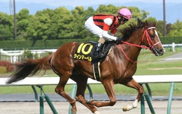 【京王杯SC予想】安田記念への切符をかけた戦い 距離適性をしっかりと見定めたいレース