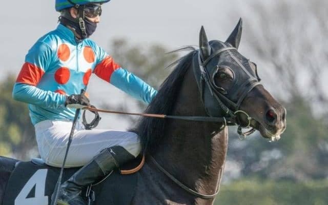 【京都HJ予想】飛越の安定性＆騎手の技量が問われる難コース