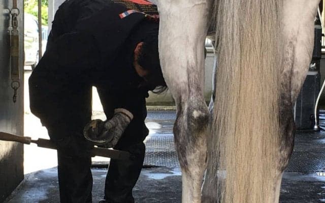 【装蹄師・西内荘コラム】ウオッカは忘れられない1頭…2009年ヴィクトリアマイルV