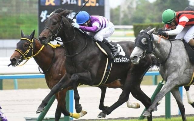 【あずさ賞結果】リミットバスターが2番手追走から抜け出して連勝