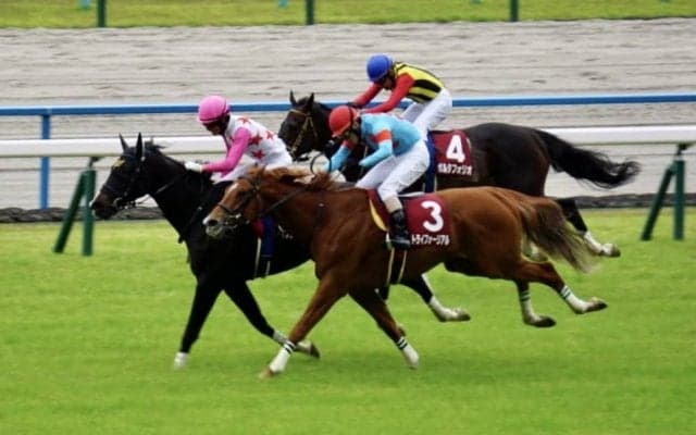 【京都ハイジャンプ】ダイシンクローバーが激戦を制する…人気2頭が落馬