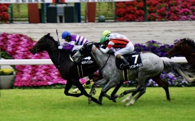 【あずさ賞】リミットバスターが混戦のゴール前から抜け出す