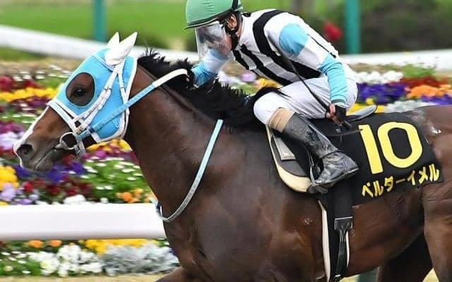 【栗東S予想】複勝率40％！ 京都ダ1400mはオルフェーヴル産駒の十八番