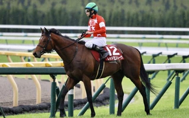 【京王杯SC】横山和「恩返し出来て嬉しく思う」レッドモンレーヴが重賞初制覇