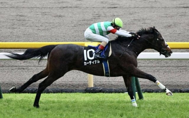 【緑風S】カーディナルが逃げ切りV…ルメール騎手は3連勝