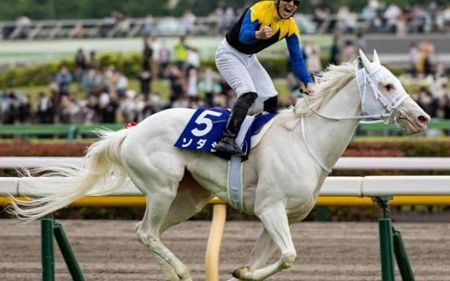 粗品氏は絞ってワイド2点＆馬連3点で勝負！ 「実力的にはスターズオンアースだが、枠と展開を考慮して…」