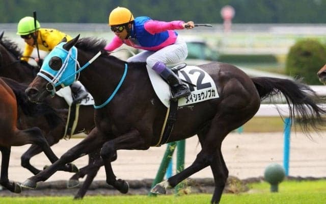 【京都3R】武豊 メイショウノブカが大外から一閃