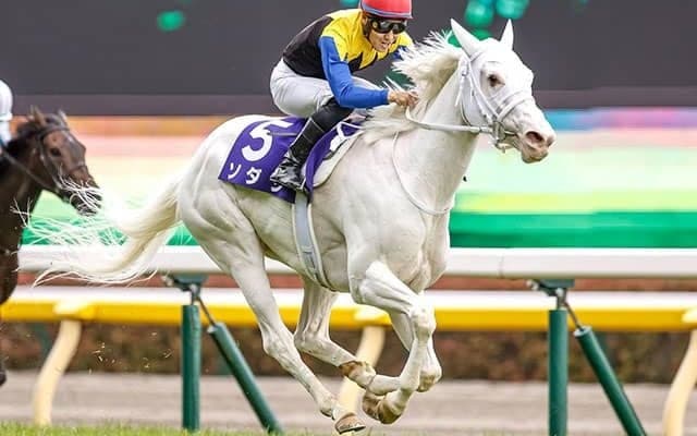 【今日の注目ポイント】東京で春の女王決定戦ヴィクトリアマイル