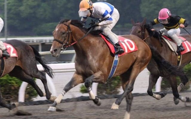 【高知・ベストウォーリア賞】モダスオペランディが人気に応える…赤岡「交わせる感覚あった」