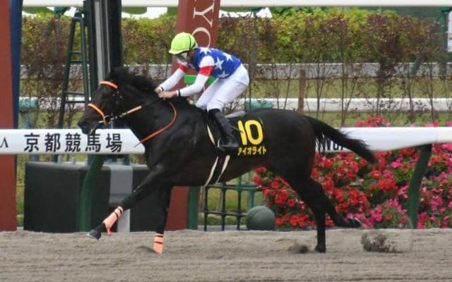 【栗東S結果】5番人気のアイオライトが7馬身差圧勝