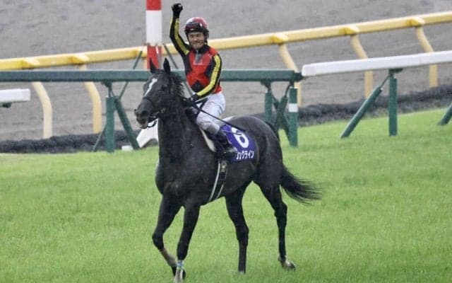 【ヴィクトリアマイル】戸崎「馬を信じて内を選択」ソングラインが接戦を制する