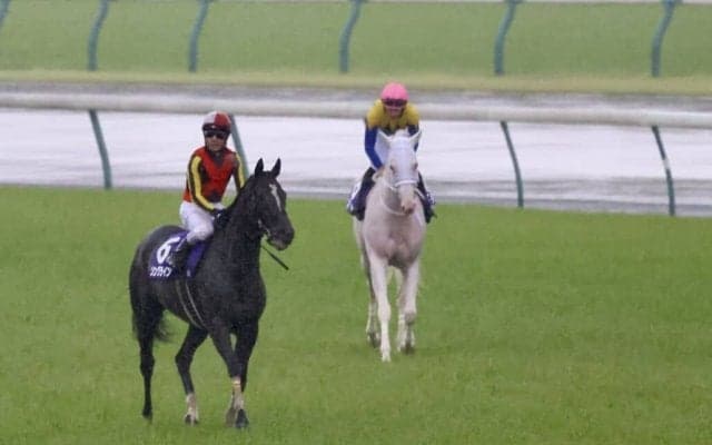 【ヴィクトリアマイル】レーン「力は出し切った」レース後ジョッキーコメント