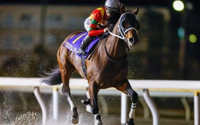 【平安S見どころ】グロリアムンディの重賞連勝なるか