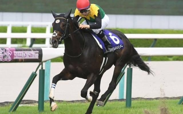 【宝塚記念】ファン投票の実施決定！ 18日からWeb限定でスタート