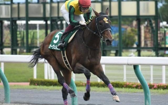 【川崎マイラーズ枠順】21年の東海S・平安Sを制したオーヴェルニュは8枠10番