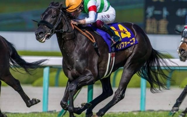 ダービーでハナ差2着だった兄の雪辱へ 同じ東京芝2400m舞台に妹がオークス制覇だ