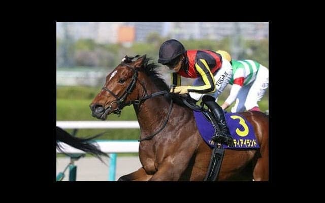 オークスでも「テッパン」とされる女王リバティアイランドには、本当に死角はないのか