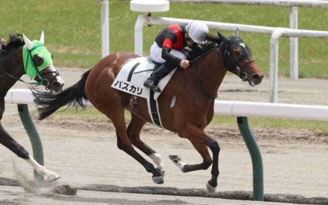 【新潟4R】エピファネイア産駒 パスカリが断然人気に応える