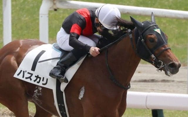 【新潟4R】菱田「もう一度ファイトしてくれた」パスカリが初勝利