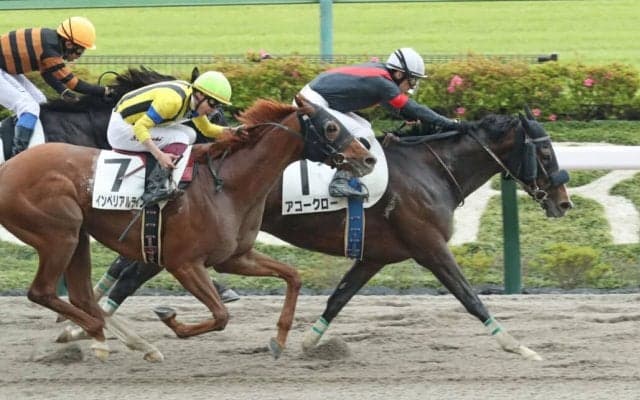 【東京6R】フェノーメノ産駒 アコークローが人気に応える