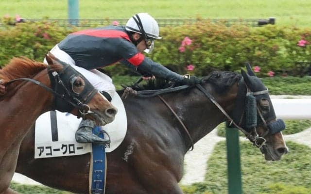 【東京6R】ルメール「東京の長い距離合っている」フェノーメノ産駒、アコークローが快勝