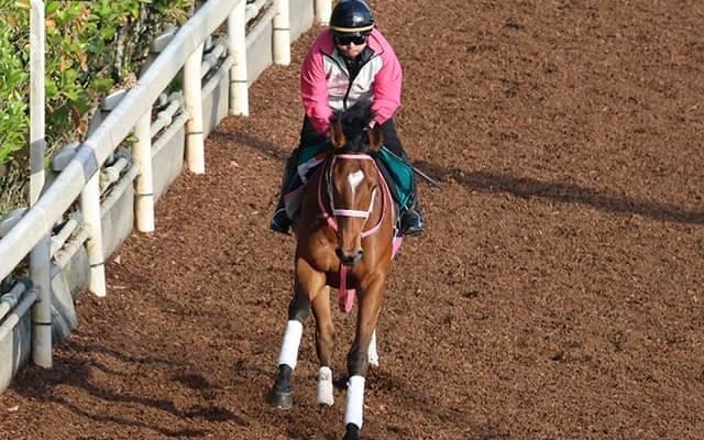 カリンバの2021(チェレスタ)など、先週のゲート試験/栗東トレセンニュース