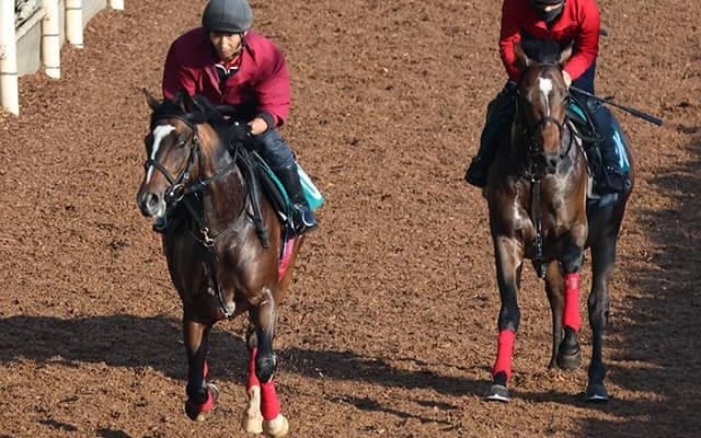 アドマイヤリードの2021(キャプテンシー)など、先週の入厩情報/栗東トレセンニュース