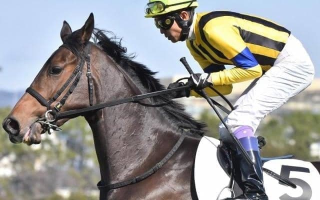 武豊騎手がオークス勝てば27年ぶり 伸びシロはたっぷりのソーダズリングで参戦