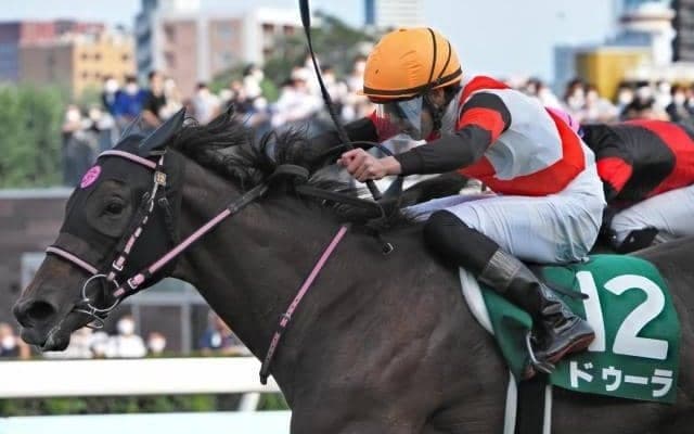 斎藤新騎手がクラシック初挑戦 コンビ再結成のドゥーラで一発狙う