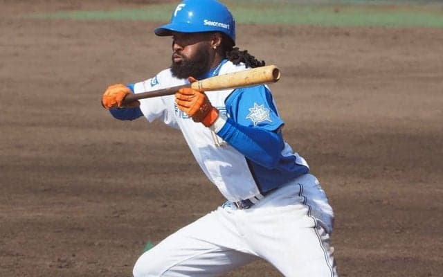 NPBから「助っ人大砲」が消えるワケ　ニーズも変化…ハムの緊急補強が示す新たな貢献